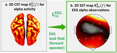 Minimizing the distortions in electrophysiological source imaging of cortical oscillatory activity via Spectral Structured Sparse Bayesian Learning